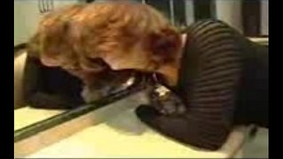 Maszturbáció, assfucked