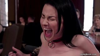 Glavu rob Deruca James vodiči rob pripravnik Sabrina Banaka za službu drolja i oni teško jebote i dostaviti u gornjem spratu orgije autobus zabavu